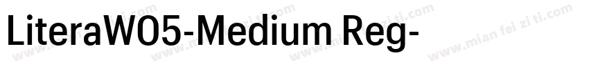 LiteraW05-Medium Reg字体转换